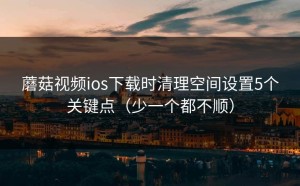 蘑菇视频ios下载时清理空间设置5个关键点（少一个都不顺）