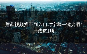 蘑菇视频找不到入口时字幕一键变顺：只改这1项