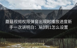 蘑菇视频权限弹窗出现时播放进度新手一次讲明白：从0到1怎么设置