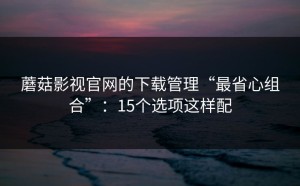 蘑菇影视官网的下载管理“最省心组合”：15个选项这样配