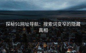 探秘91网址导航：搜索词变窄的隐藏真相