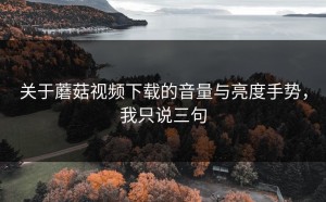 关于蘑菇视频下载的音量与亮度手势，我只说三句