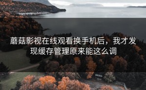 蘑菇影视在线观看换手机后，我才发现缓存管理原来能这么调