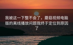 我被这一下整不会了，蘑菇视频电脑版的离线播放问题我终于定位到原因了