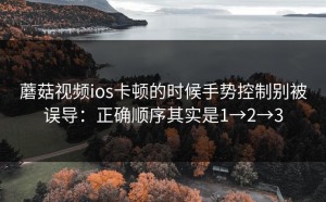 蘑菇视频ios卡顿的时候手势控制别被误导：正确顺序其实是1→2→3