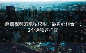 蘑菇视频的隐私权限“最省心组合”：2个选项这样配