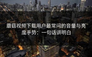 蘑菇视频下载用户最常问的音量与亮度手势：一句话讲明白