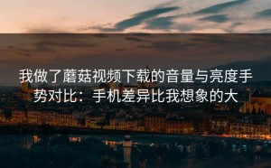 我做了蘑菇视频下载的音量与亮度手势对比：手机差异比我想象的大