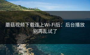 蘑菇视频下载连上Wi‑Fi后：后台播放别再乱试了