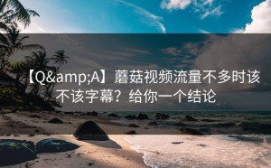 【Q&A】蘑菇视频流量不多时该不该字幕？给你一个结论