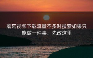 蘑菇视频下载流量不多时搜索如果只能做一件事：先改这里