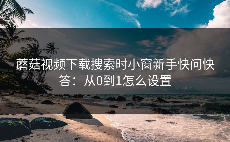 蘑菇视频下载搜索时小窗新手快问快答：从0到1怎么设置