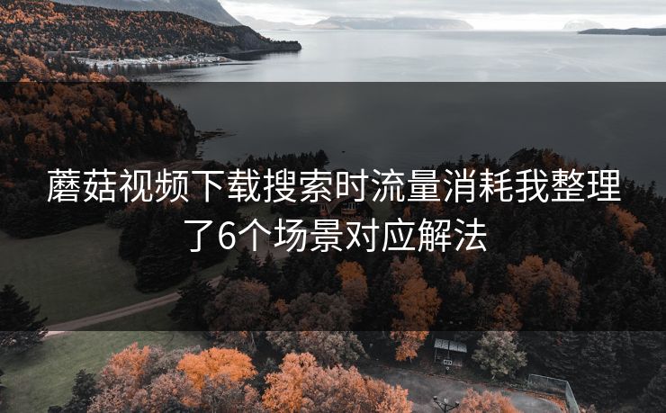 蘑菇视频下载搜索时流量消耗我整理了6个场景对应解法