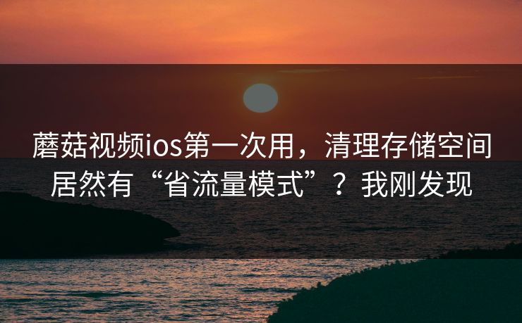 蘑菇视频ios第一次用，清理存储空间居然有“省流量模式”？我刚发现