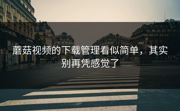 蘑菇视频的下载管理看似简单,其实别再凭感觉了 蘑菇视频的下载管理看似简单,其实别再凭感觉了