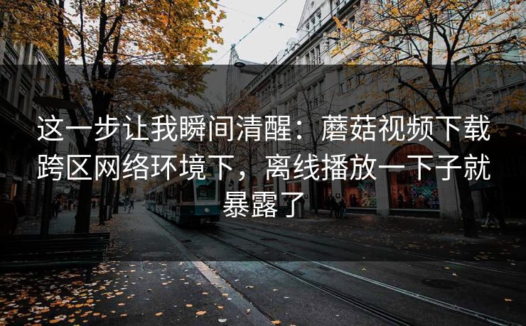 这一步让我瞬间清醒：蘑菇视频下载跨区网络环境下，离线播放一下子就暴露了