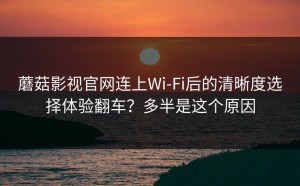 蘑菇影视官网连上Wi‑Fi后的清晰度选择体验翻车？多半是这个原因