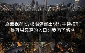蘑菇视频ios权限弹窗出现时手势控制最容易忽略的入口：我画了路径