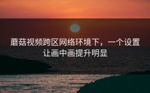 蘑菇视频跨区网络环境下，一个设置让画中画提升明显