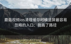 蘑菇视频ios清理缓存时横竖屏最容易忽略的入口：我画了路径