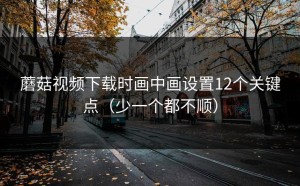 蘑菇视频下载时画中画设置12个关键点（少一个都不顺）
