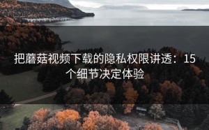 把蘑菇视频下载的隐私权限讲透：15个细节决定体验