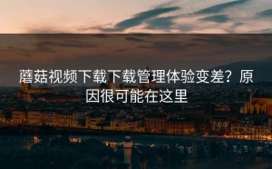 蘑菇视频下载下载管理体验变差？原因很可能在这里