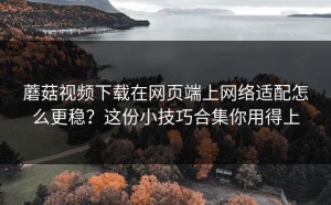 蘑菇视频下载在网页端上网络适配怎么更稳？这份小技巧合集你用得上