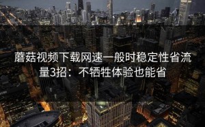 蘑菇视频下载网速一般时稳定性省流量3招：不牺牲体验也能省