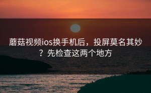 蘑菇视频ios换手机后，投屏莫名其妙？先检查这两个地方