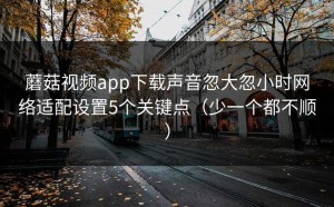 蘑菇视频app下载声音忽大忽小时网络适配设置5个关键点（少一个都不顺）