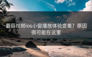蘑菇视频ios小窗播放体验变差？原因很可能在这里