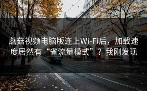 蘑菇视频电脑版连上Wi‑Fi后，加载速度居然有“省流量模式”？我刚发现