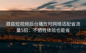 蘑菇短视频后台播放时网络适配省流量5招：不牺牲体验也能省