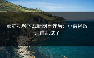 蘑菇视频下载断网重连后：小窗播放别再乱试了