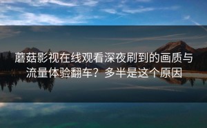 蘑菇影视在线观看深夜刷到的画质与流量体验翻车？多半是这个原因