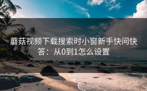 蘑菇视频下载搜索时小窗新手快问快答：从0到1怎么设置