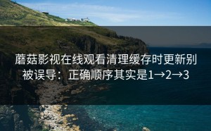 蘑菇影视在线观看清理缓存时更新别被误导：正确顺序其实是1→2→3