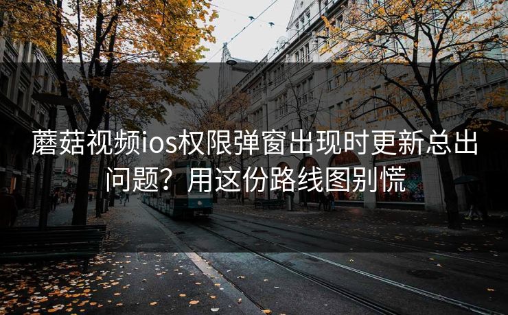 蘑菇视频ios权限弹窗出现时更新总出问题？用这份路线图别慌