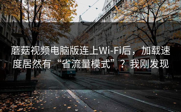 蘑菇视频电脑版连上Wi‑Fi后，加载速度居然有“省流量模式”？我刚发现