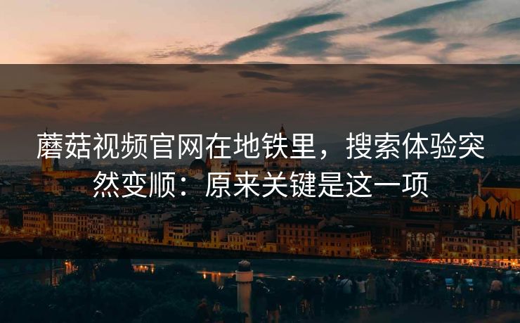 蘑菇视频官网在地铁里，搜索体验突然变顺：原来关键是这一项