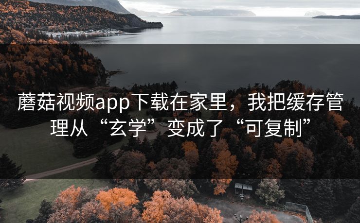 蘑菇视频app下载在家里，我把缓存管理从“玄学”变成了“可复制”