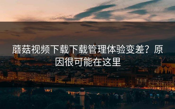 蘑菇视频下载下载管理体验变差？原因很可能在这里