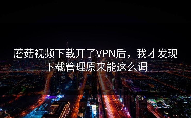 蘑菇视频下载开了VPN后,我才发现下载管理原来能这么调 蘑菇视频下载开了VPN后,我才发现下载管理原来能这么调