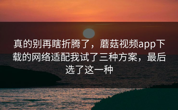 真的别再瞎折腾了,蘑菇视频app下载的网络适配我试了三种方案,最后选了这一种 真的别再瞎折腾了,蘑菇视频app下载的网络适配我试了三种方案,最后选了这一种
