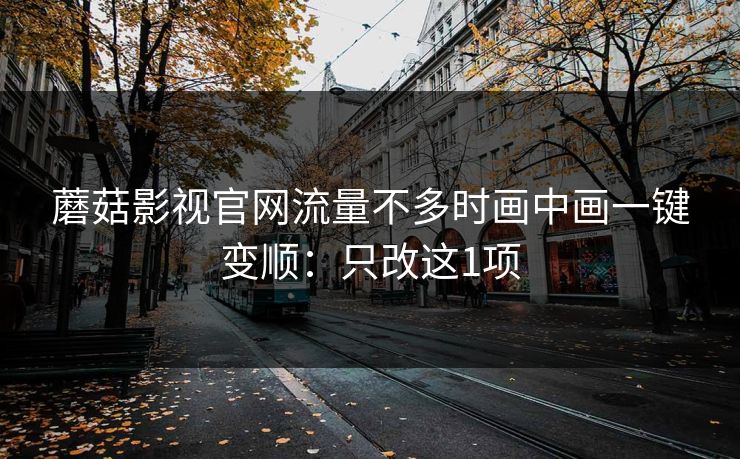 蘑菇影视官网流量不多时画中画一键变顺:只改这1项 蘑菇影视官网流量不多时画中画一键变顺:只改这1项