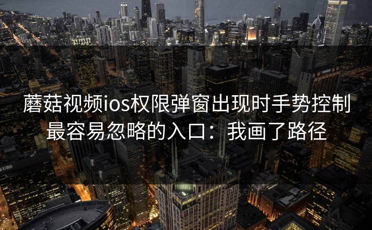 蘑菇视频ios权限弹窗出现时手势控制最容易忽略的入口：我画了路径
