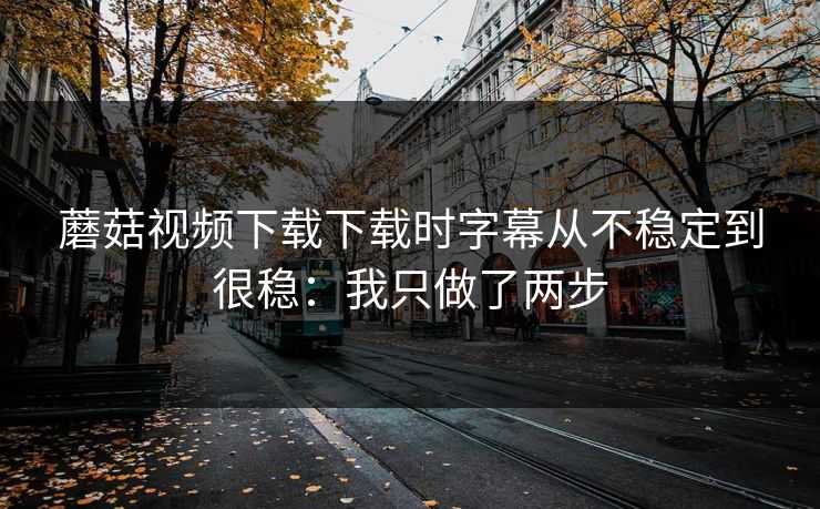 蘑菇视频下载下载时字幕从不稳定到很稳：我只做了两步